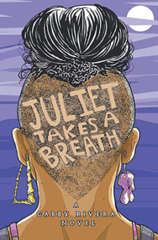 cover of juliet takes a breath