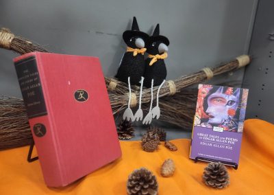 Edgar Allan Poe Bundle