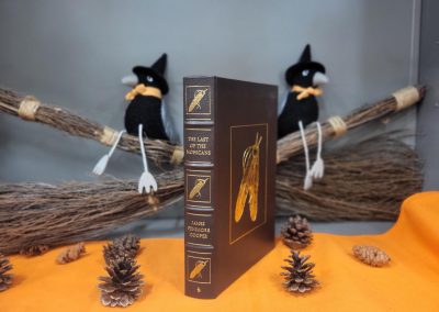 The Last of the Mohicans